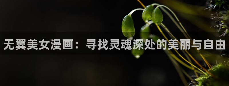 虫虫免费漫画：无翼美女漫画：寻找灵魂深处的美丽与自由