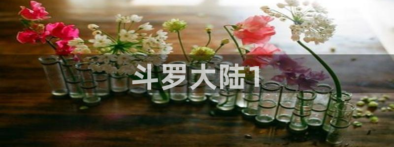 虫虫漫画www：斗罗大陆1