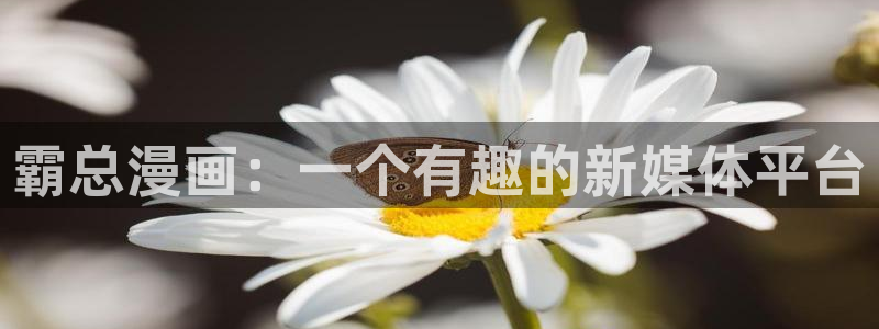 羞羞虫虫漫画：霸总漫画：一个有趣的新媒体平台