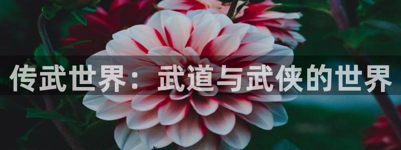 虫虫漫画现在：传武世界：武道与武侠的世界