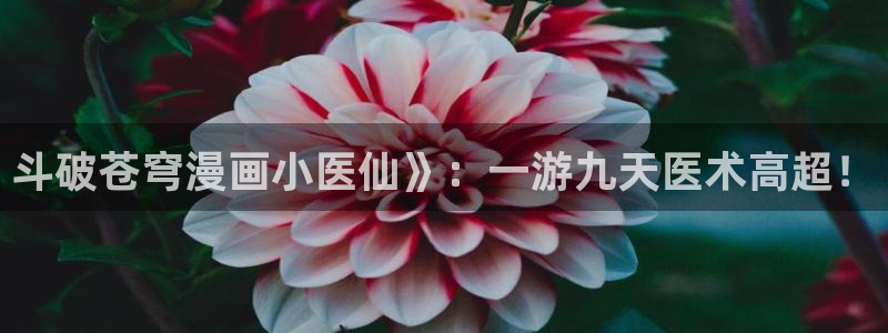 韩国漫画虫虫：斗破苍穹漫画小医仙》：一游九天医术高超！