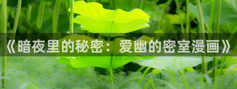 虫虫漫画网入口免费：《暗夜里的秘密：爱幽的密室漫画》