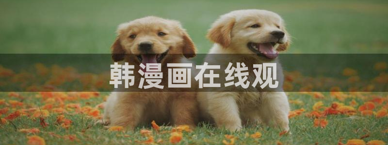 虫虫漫画解说：韩漫画在线观