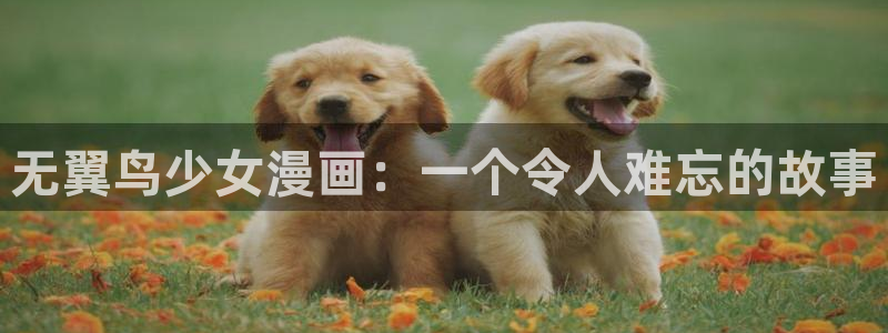 虫虫漫画免费阅读漫画星球：无翼鸟少女漫画：一个令人难忘的故事