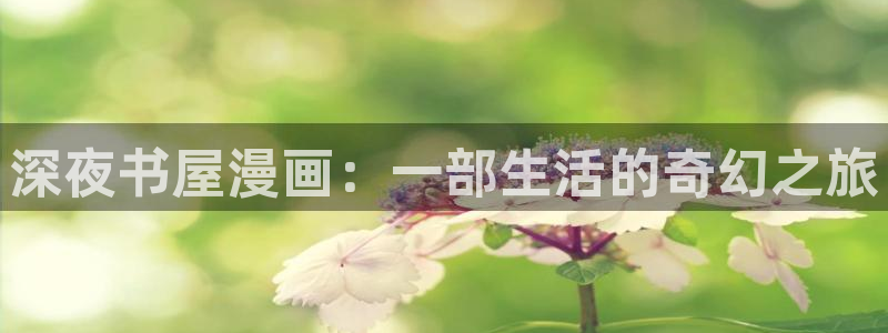 虫虫漫画观看：深夜书屋漫画：一部生活的奇幻之旅