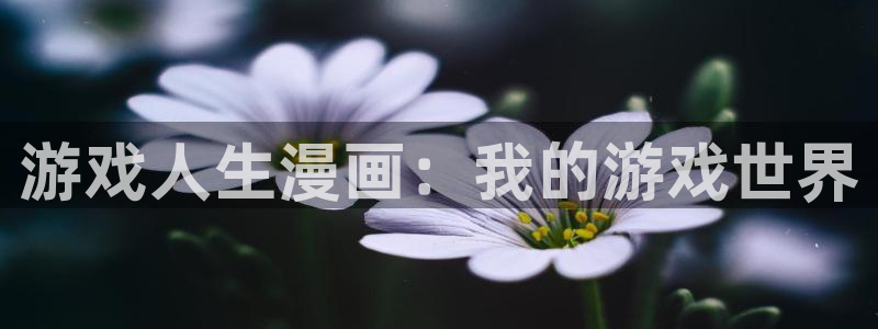 虫虫漫画破解版app下载：游戏人生漫画：我的游戏世界